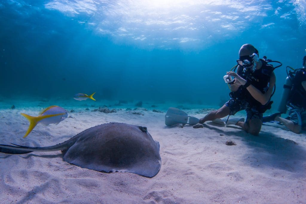 Stingray City
